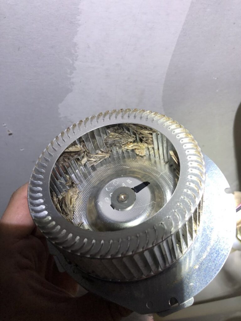 A dirty HVAC blower wheel removed for cleaning or maintenance by Service Experts Denver in Westminster, CO