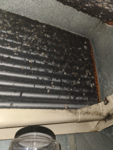A close-up view of a heavily soiled HVAC coil requiring cleaning by ARC Mechanical Inc in South Elgin, IL.