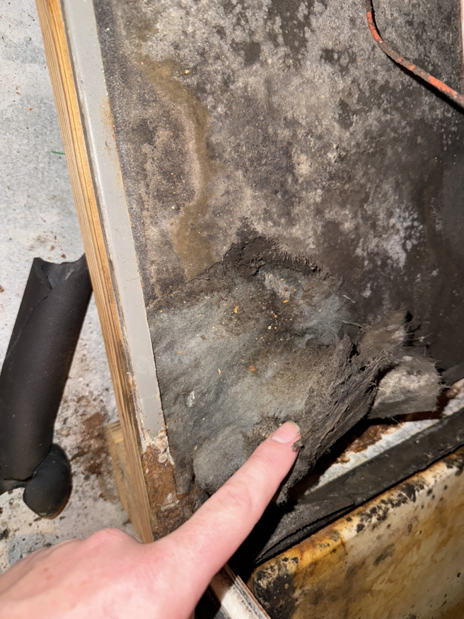 A dirty HVAC coil or drain pan with mold, indicating a need for service from NextGen Aire of Southwest Florida in Punta Gorda, FL.