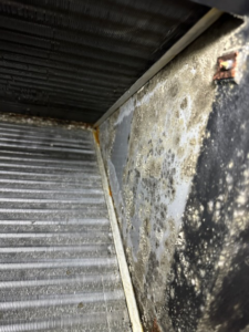 Close-up view of dirty and moldy HVAC coils requiring cleaning or repair by AM Refrigeration in Lake Charles, LA