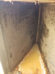 A dirty and possibly moldy evaporator coil inside an HVAC unit requiring maintenance from Vertex Heating & Cooling in Buckeye, AZ