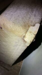 A close-up of a dirty or infested mattress with visible stains, indicating a bed bug problem addressed by Bed Bug and Pest Removal LLC in Baltimore, MD.
