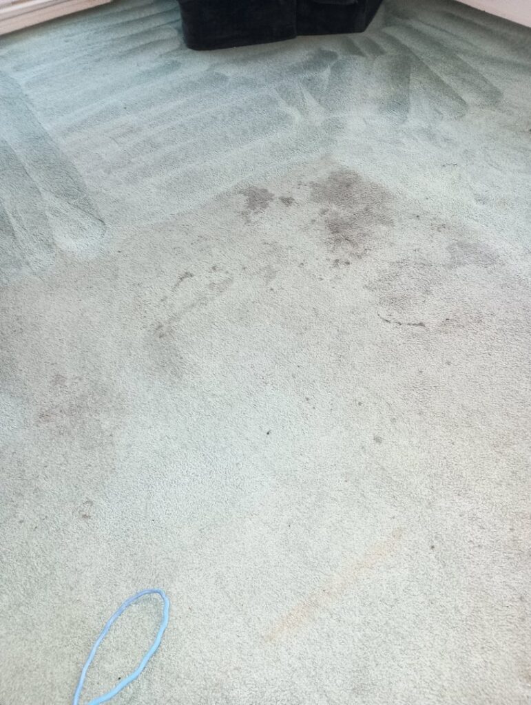 Dirty light blue carpet with visible stains before professional cleaning by All Steamed Up Carpet/Upholstery Cleaning in Havana, FL