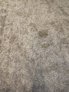 A close-up of a dirty, light-colored carpet with a noticeable dark stain, illustrating the need for professional cleaning by Steam Choice Carpet Care Inc in Chicago, IL.
