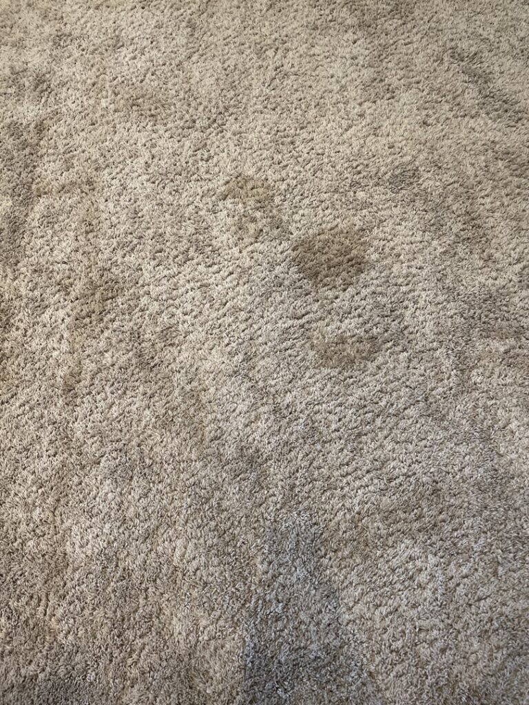 A close-up of a dirty, light-colored carpet with a noticeable dark stain, illustrating the need for professional cleaning by Steam Choice Carpet Care Inc in Chicago, IL.