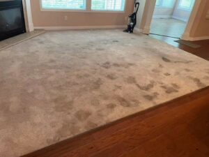 A dirty and stained living room carpet before professional cleaning by Just Right Carpet Cleaning of Goose creek moncks corner in North Charleston, SC.