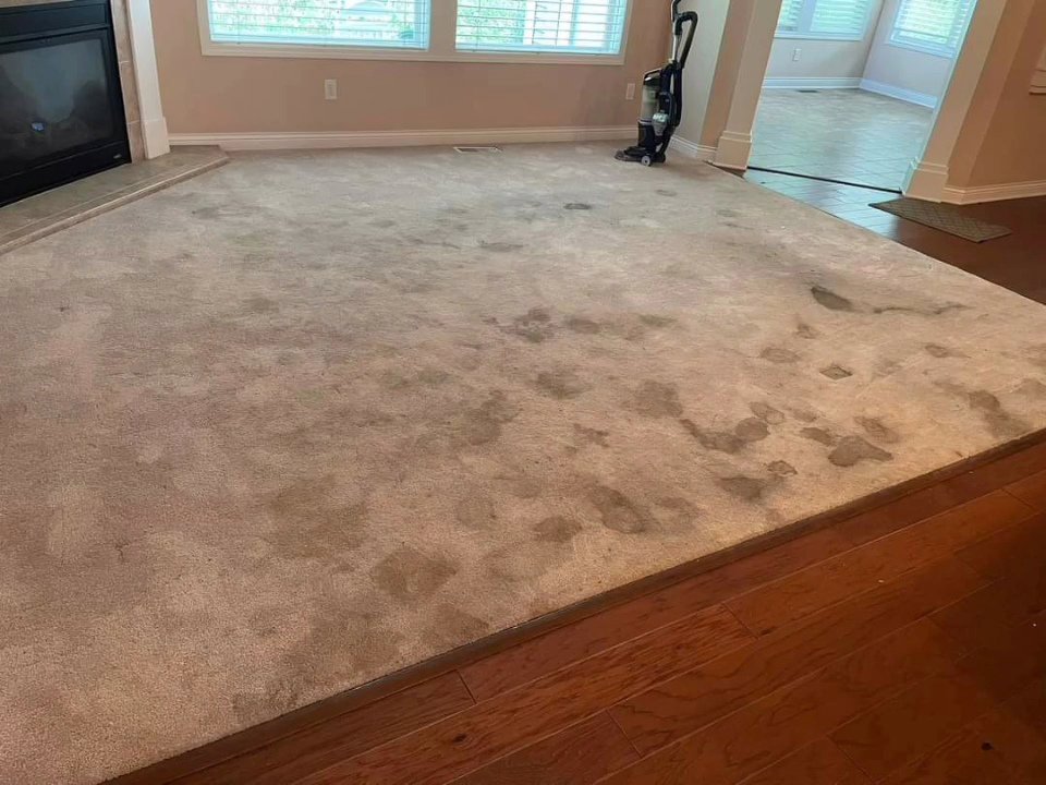 A dirty and stained living room carpet before professional cleaning by Just Right Carpet Cleaning of Goose creek moncks corner in North Charleston, SC.