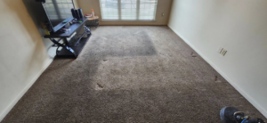 A dirty living room carpet before professional cleaning by Top Notch Cleaning, LLC in Bensalem, PA.