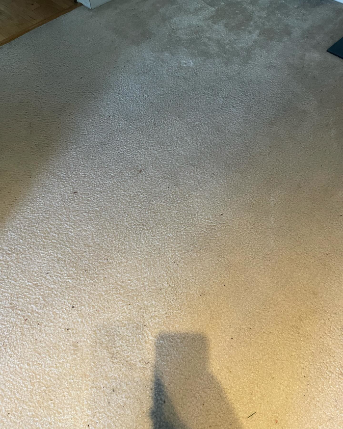 A dirty and matted light-colored carpet before professional cleaning by D&A Carpet Cleaning in Durham, NC.