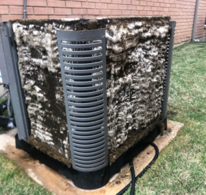 Dirty and moldy AC unit coils being cleaned by CLM Mechanical in Dallas, TX