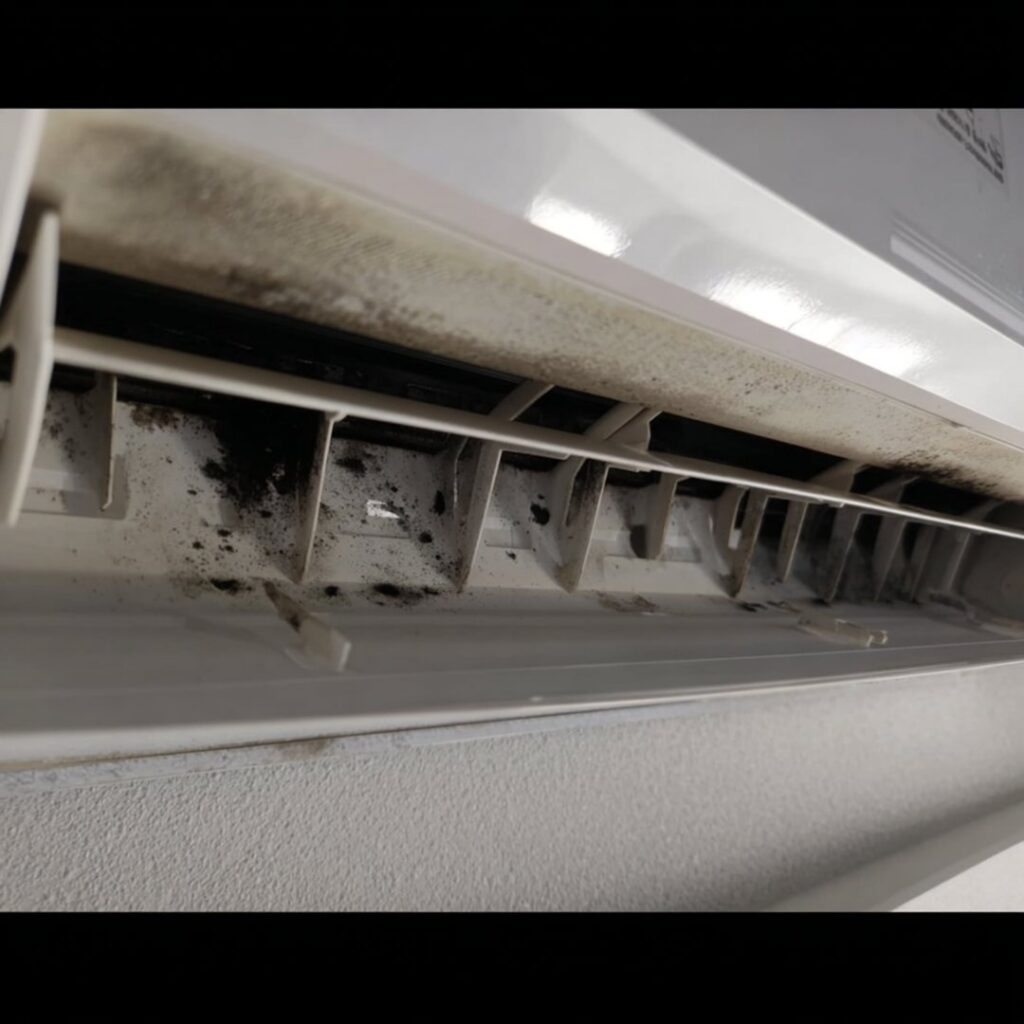 A dirty and moldy mini-split indoor unit requiring cleaning by Black Oak HVAC in Derry, NH