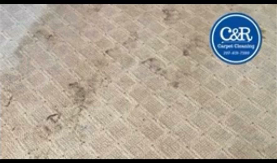 A close-up view of a dirty patterned carpet before cleaning by C&R's Carpet Cleaning in Ellsworth, ME.