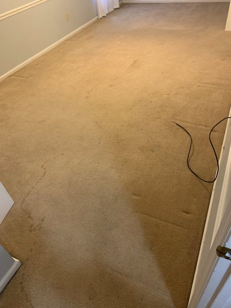 A dirty residential carpet awaiting professional cleaning services from 843Steamers in Summerville, SC.