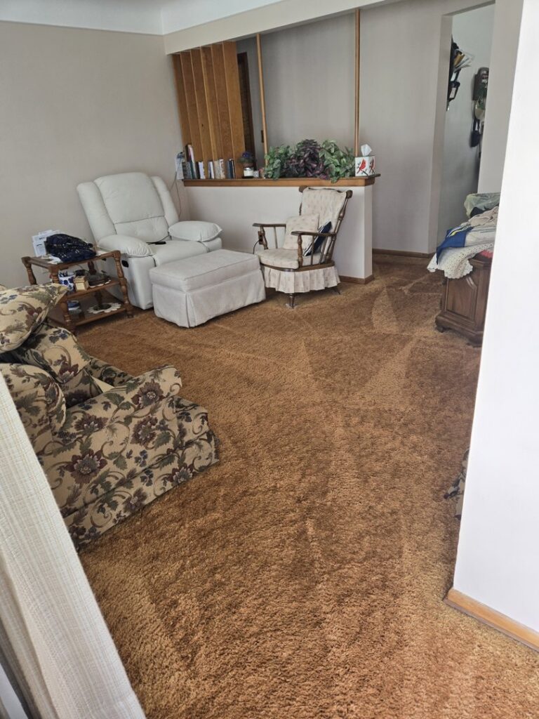 Dirty residential carpet in a living room before professional cleaning by On The Spot Carpet and Upholstery Cleaning in Warren, MI.