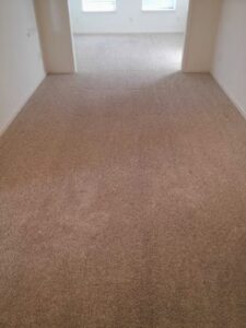 A dirty, worn brown residential carpet before professional cleaning by Real Green Cleaning in Indianapolis, IN.