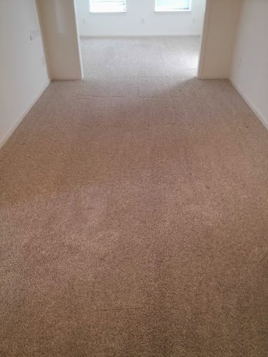 A dirty, worn brown residential carpet before professional cleaning by Real Green Cleaning in Indianapolis, IN.