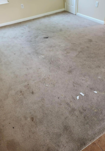 A dirty room carpet with various stains and debris, prior to cleaning by Vision Carpet Cleaning in Lexington, KY.