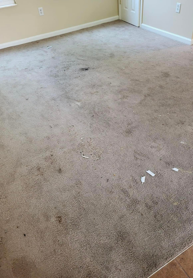 A dirty room carpet with various stains and debris, prior to cleaning by Vision Carpet Cleaning in Lexington, KY.