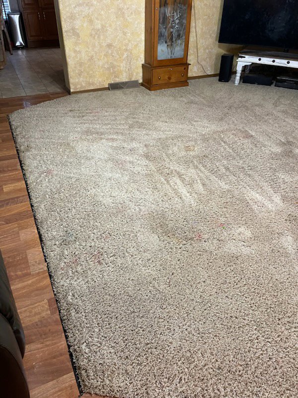 A large, dirty shaggy carpet in a living room, awaiting cleaning by Spot Free Cleaning Services in Brownsburg, IN.