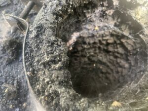 A very dirty and sooty chimney flue interior, showing the need for cleaning by Chimney Cricket Cleaning Service in Marshfield, MO