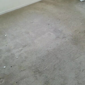 A dirty and stained bedroom carpet before professional cleaning by Just Right Carpet Cleaning of Goose creek moncks corner in North Charleston, SC.