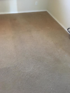 A dirty and stained carpet showing the need for professional cleaning from Bills Carpet Cleaning in Lake Havasu City, AZ.