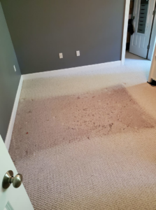 Heavily dirty and stained carpet in a room, showing the need for professional cleaning by Glory Carpet Cleaning Service, East Hartford, CT.