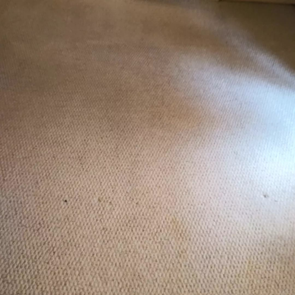 A close-up view of a dirty and stained carpet before cleaning by Inspired Services in Bellflower, CA.
