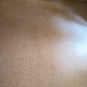 A close-up view of a dirty and stained carpet before cleaning by Inspired Services in Bellflower, CA.