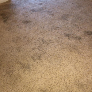 A close-up view of a dirty, stained carpet before cleaning by KB Cleaning Services, Inc. in Atlanta, GA.