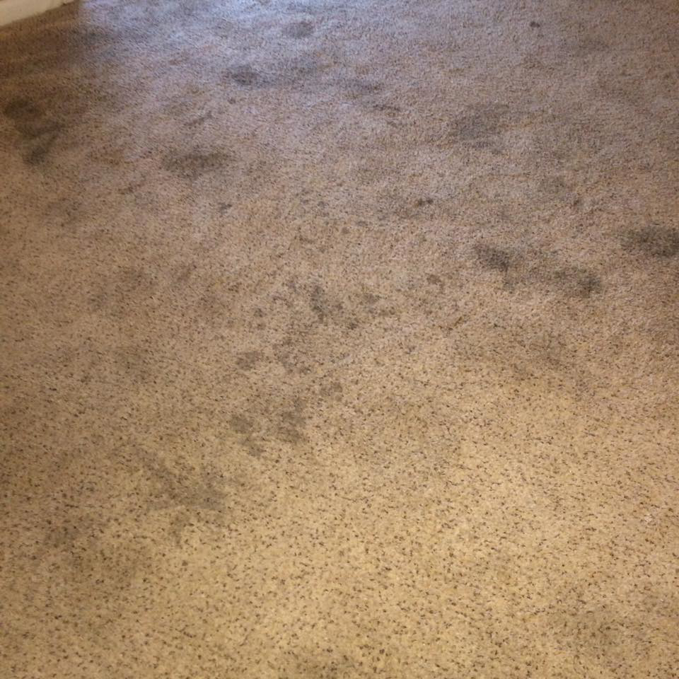 A close-up view of a dirty, stained carpet before cleaning by KB Cleaning Services, Inc. in Atlanta, GA.