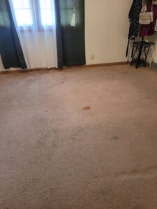 A dirty, stained carpet in a room, indicating the need for professional cleaning by Leo's Carpet Cleaning in Omaha, NE