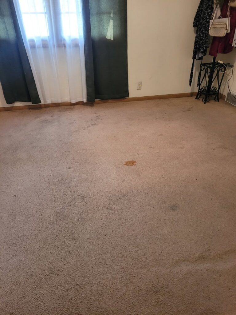 A dirty, stained carpet in a room, indicating the need for professional cleaning by Leo's Carpet Cleaning in Omaha, NE