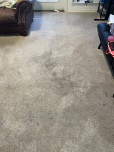 A visibly dirty and stained carpet in a residential room, ready for professional cleaning by Mountain View Carpet Care LLC in Vancouver, WA.