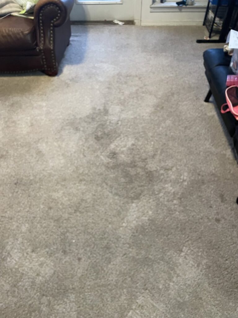 A visibly dirty and stained carpet in a residential room, ready for professional cleaning by Mountain View Carpet Care LLC in Vancouver, WA.