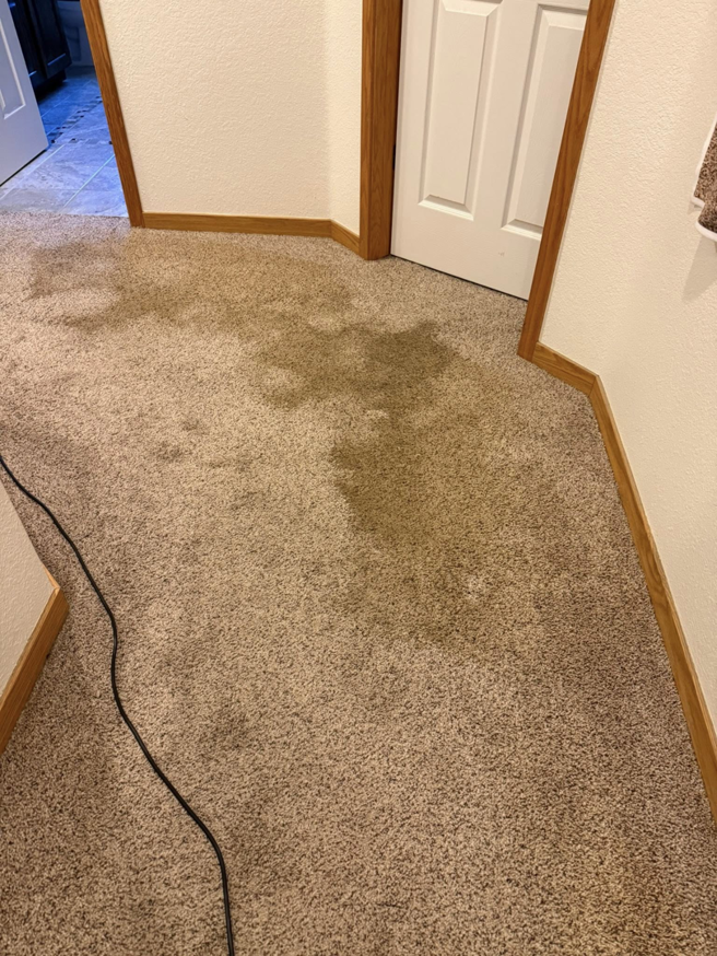 A dirty, stained carpet in a hallway before professional cleaning by North Colorado Kwik Dry Total Cleaning in Johnstown, CO.