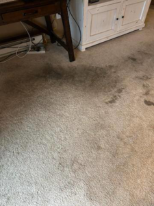 A dirty and stained carpet before professional cleaning by Red River Carpet Cleaning of Fargo Moorhead, MN