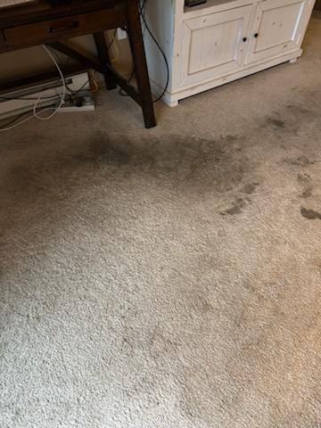 A dirty and stained carpet before professional cleaning by Red River Carpet Cleaning of Fargo Moorhead, MN