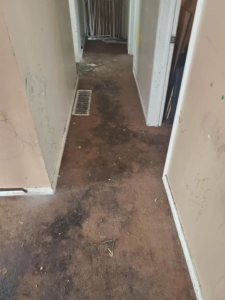 A heavily soiled and stained carpet in a hallway, showing the need for cleaning by A Fresh Look Carpet Cleaning in West Jordan, UT.