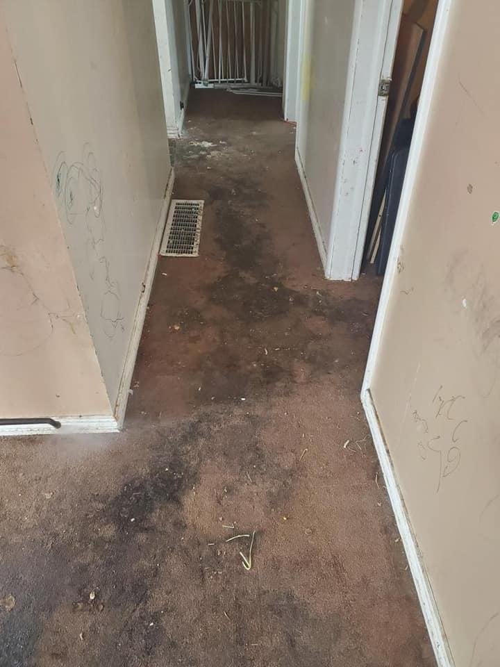 A heavily soiled and stained carpet in a hallway, showing the need for cleaning by A Fresh Look Carpet Cleaning in West Jordan, UT.
