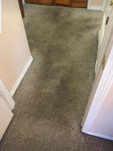 A dirty and stained carpeted hallway, showing the need for professional cleaning by Beagle & Boy Carpet Cleaning in Bentonville, AR.