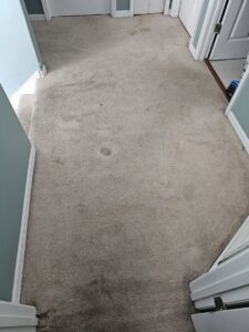 A dirty and stained hallway carpet before cleaning by CitruSolution Carpet & Upholstery Cleaning of Orlando, FL