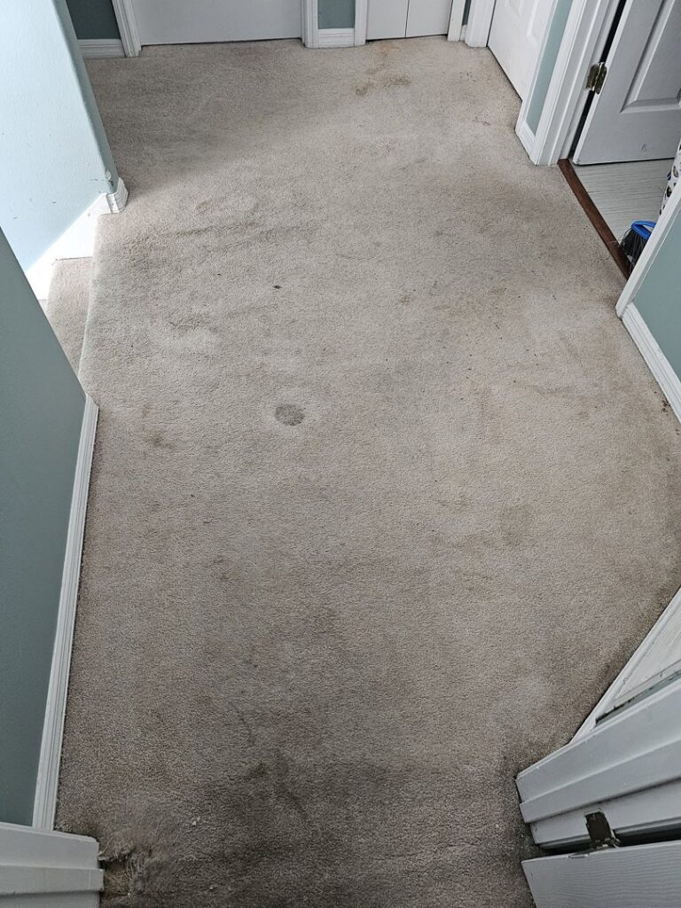 A dirty and stained hallway carpet before cleaning by CitruSolution Carpet & Upholstery Cleaning of Orlando, FL