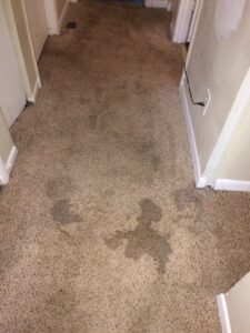 A dirty and stained carpet in a hallway, ready for professional cleaning by KB Cleaning Services, Inc. in Atlanta, GA.