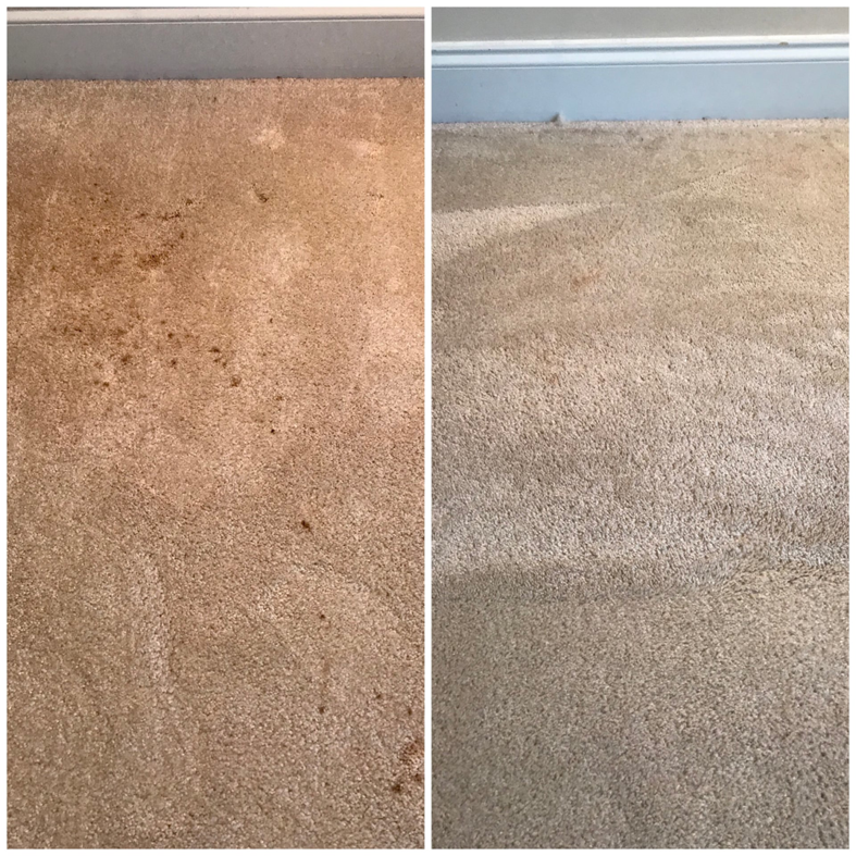 Before and after comparison of a dirty carpet transformed to clean by Mammoth Carpet Cleaners in Pueblo, CO