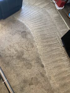 A carpet showing a clear transformation from dirty to clean after service by Easy Clean Carpet Care in Citrus Heights, CA