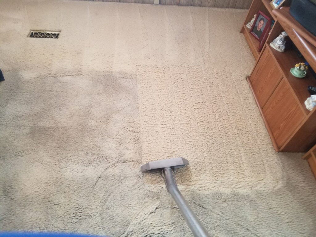 Carpet cleaning in progress, showing the transformation from dirty to clean by Regal Carpet Cleaning Inc. in Tucson, AZ