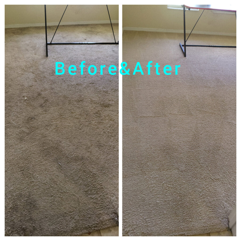 Dramatic before and after transformation of a dirty carpet to a clean one by M&M Carpet & Tile Care in Cape Coral, FL