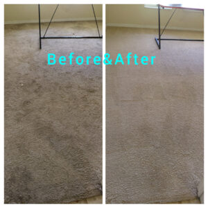 Dramatic before and after transformation of a dirty carpet to a clean one by M&M Carpet & Tile Care in Cape Coral, FL