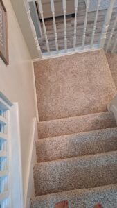 A dramatic before and after transformation of a dirty carpet to a clean one by United Carpet Cleaning in Taylorsville, UT.